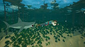 Captain Bones : A Pirate's Journey