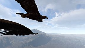 Aquila Bird Flight Simulator