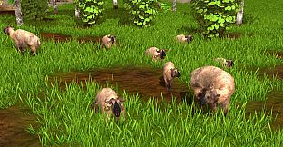 Wildlife Park 3 - Asia