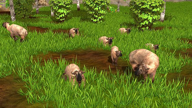 Wildlife Park 3 - Asia