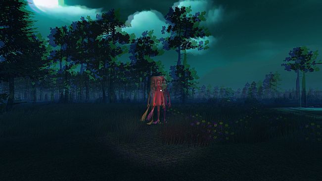 100 Nights In The Forest