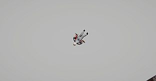 RETURN TO COMPANY OZIISAN