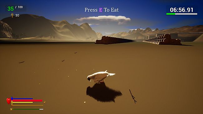 Unexpected Pigeon Race