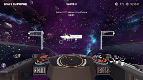 Space Survivor