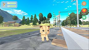 Whiskers on Time's Corner