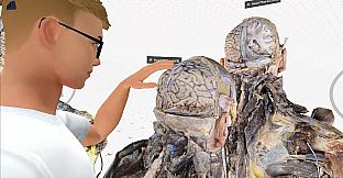 MEDICALHOLODECK. Surgery, Anatomy, Medicine, Education, and DICOM Imaging in VR. For Medical Students, Nurses, Doctors and Surgeons.