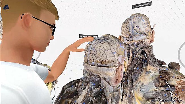 MEDICALHOLODECK. Surgery, Anatomy, Medicine, Education, and DICOM Imaging in VR. For Medical Students, Nurses, Doctors and Surgeons.