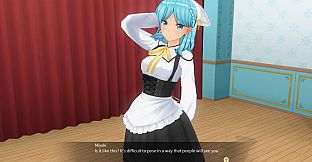 CUSTOM ORDER MAID 3D2 Character EX Pack Cunning