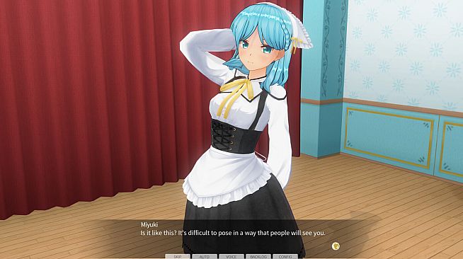 CUSTOM ORDER MAID 3D2 Character EX Pack Cunning