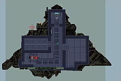 You Belong in the Stars