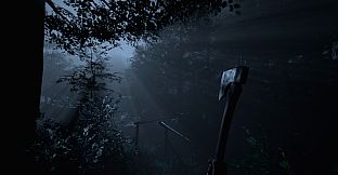 The Dark Forest: Survival