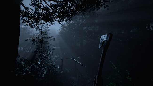 The Dark Forest: Survival