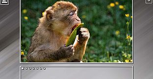 Super Jigsaw Puzzle: Generations - Monkeys & Apes Puzzles