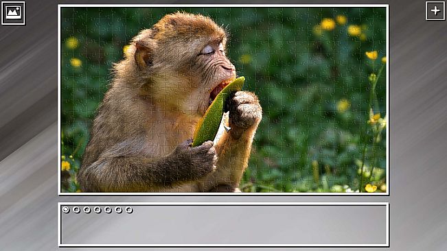 Super Jigsaw Puzzle: Generations - Monkeys & Apes Puzzles