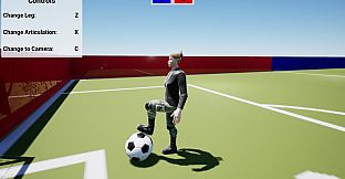 Foot Simulator