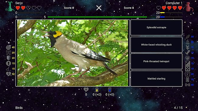 I've Seen Everything - Birds