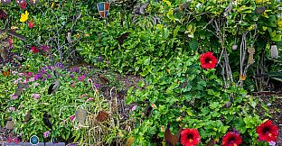 Hidden Pairs 3: Lovely Birds - Hidden Objects