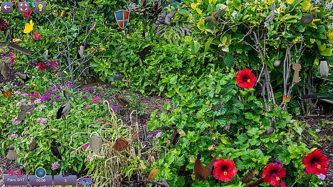 Hidden Pairs 3: Lovely Birds - Hidden Objects