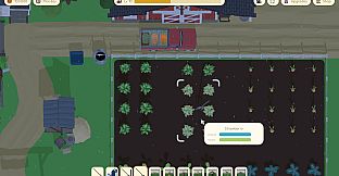 Farm to Fortune