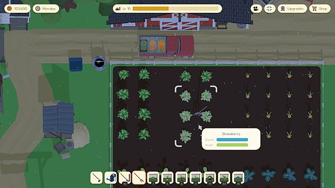 Farm to Fortune