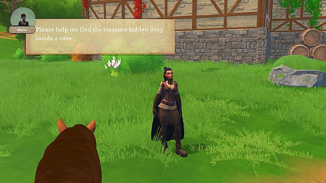 Storm Horse Simulator