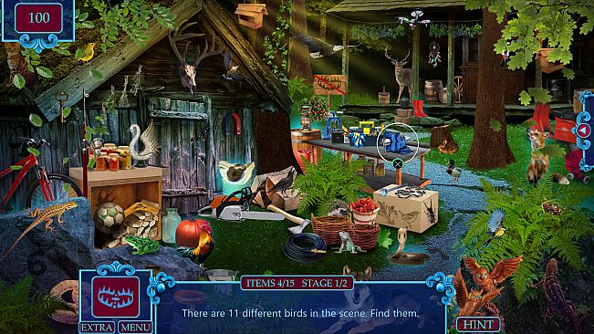 Lost & Found Agency Collector's Edition