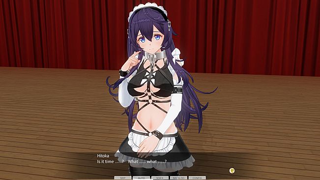 CUSTOM ORDER MAID 3D2 Character EX Pack Perverted Extreme Masochist