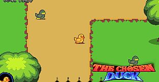 The Chosen Duck