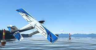 RealFlight Evolution - 2023 Year Content Pass