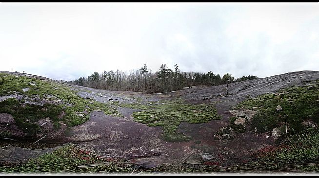 Exhale XR - Spring Journey