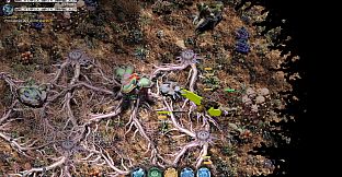 Mycelium Conquest