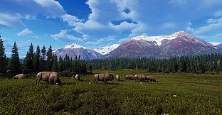 Way of the Hunter - Aurora Shores