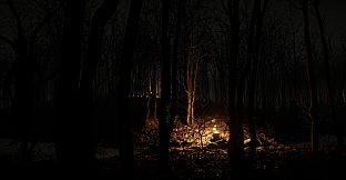 Just a stroll in the forest
