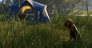 theHunter: Call of the Wild - Bloodhound - Windows 10