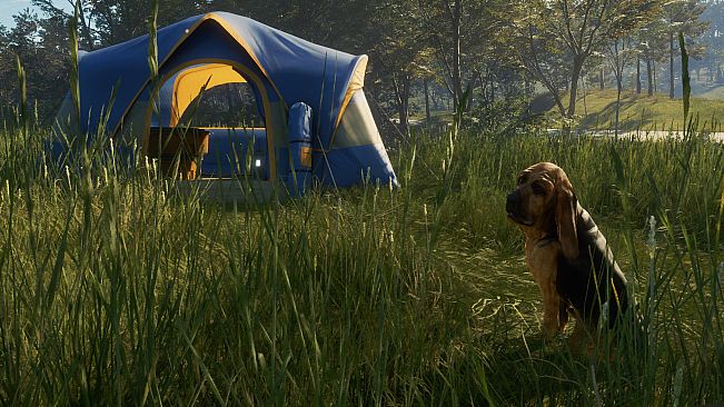 theHunter: Call of the Wild - Bloodhound