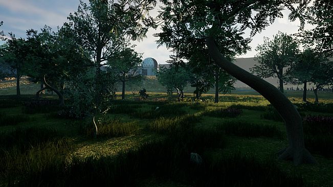 Life & Shadow: Celestial Call