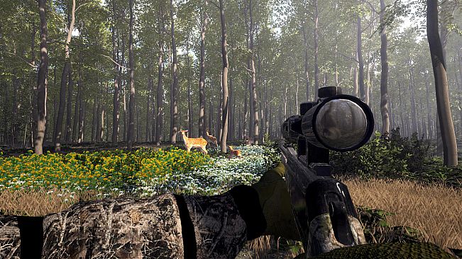 Wild Hunter: Sniper Rifle Adventures Simulator