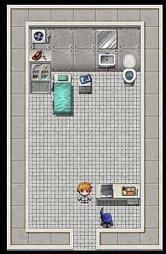 The Singularity Wish