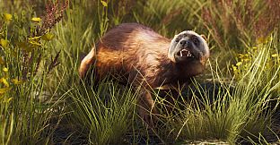 Way of the Hunter - Lintukoto Reserve