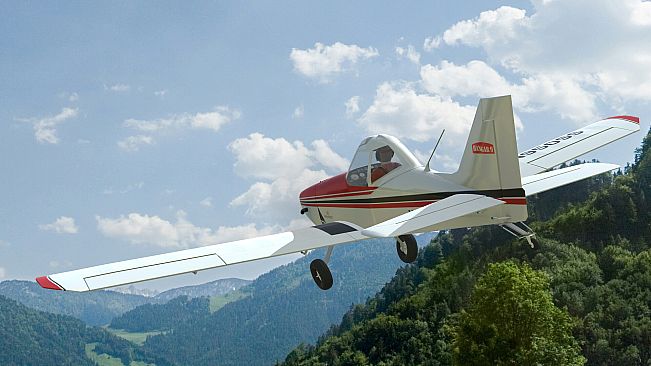 RealFlight Evolution - Hangar 9 Pawnee Brave 20cc