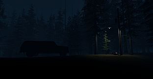 Stray Light