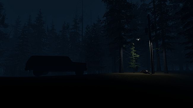 Stray Light