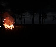 LONELINESS AFTER: Chapter 1