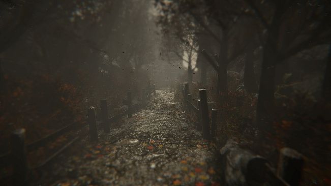 Wounded - The Beginning