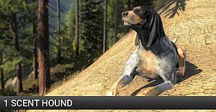 theHunter: Scent Hound Pack