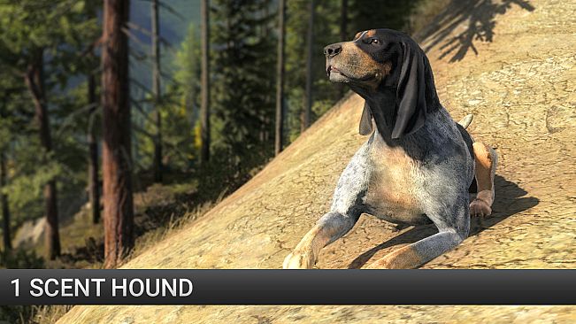 theHunter: Scent Hound Pack