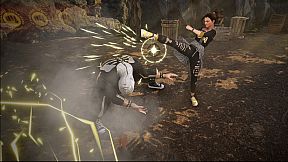 Cobra Kai Collection