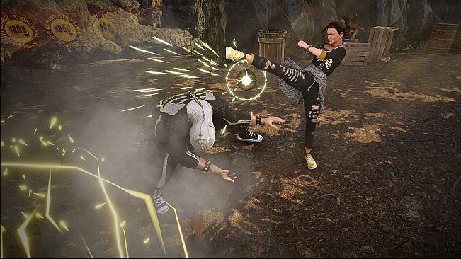 Cobra Kai Collection