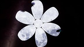 Alien Abduction Experience PC HD