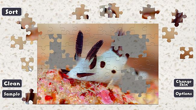 Jigsaw Masterpieces : Sea Slugs - Gems of the Sea -